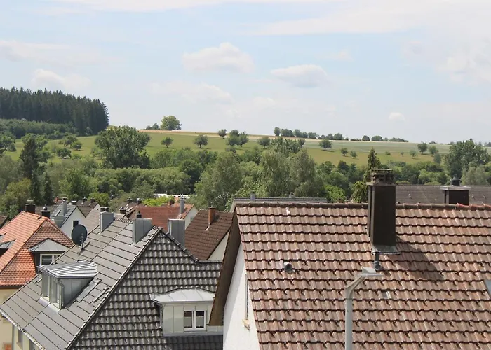 Blick Auf Den Magdalenenberg